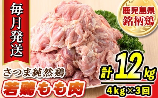 
										
										s528-A 【毎月・定期便3回】鹿児島県産銘柄鶏・さつま純然・若鶏もも肉(計12kg・4kg×3回) 鹿児島 国産 九州産 鶏肉 モモ肉 若鶏 精肉 唐揚げ チキンソテー 照り焼き 鍋【江夏商事】
									