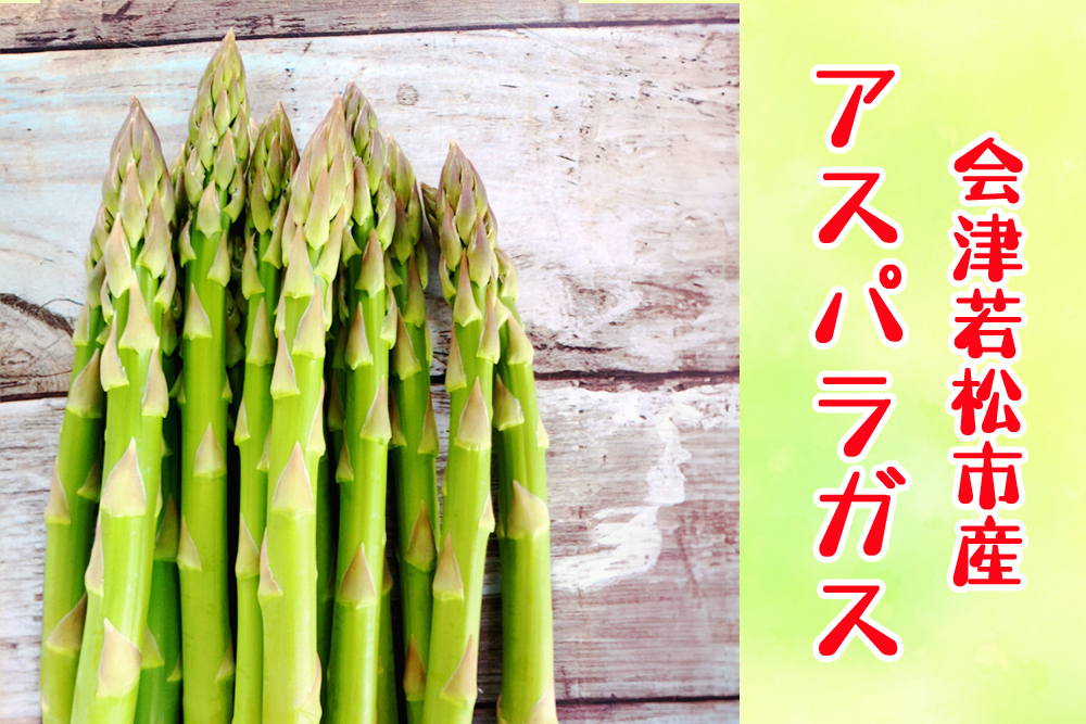 会津若松市産 アスパラガス 1kg｜会津産 野菜 アスパラ あすぱら サラダ 【2026年8月上旬から9月下旬発送予定】 農家 産直 [0656]