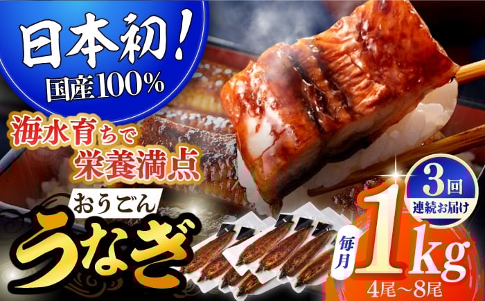 
            【全3回定期便】【日本初！海水で養殖】長崎県産おうごん うなぎ 松セット 約1kg（4尾〜8尾） 平戸市 / 松永水産 うなぎ 鰻 ウナギ 土用丑の日 九州産 蒲焼 かばやき [KAB285]
          