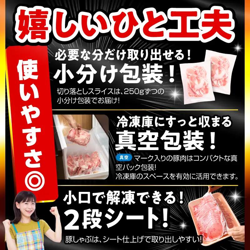 豚肉 セット 豚肉[バラエティセット 4.5kg ロース ハンバーグ]