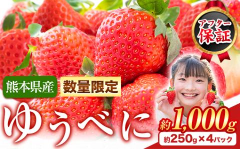 【数量限定】ゆうべに 約1,000g（約250g×4パック）いちご 苺 ゆうべに《3月出荷予定》---hkw_cjaybn_ac3_r8_10000_4p---