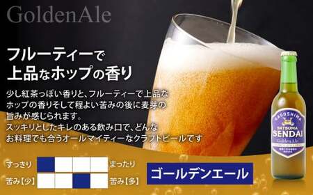 AS-053 薩摩川内ゴールデンエール 3本セット