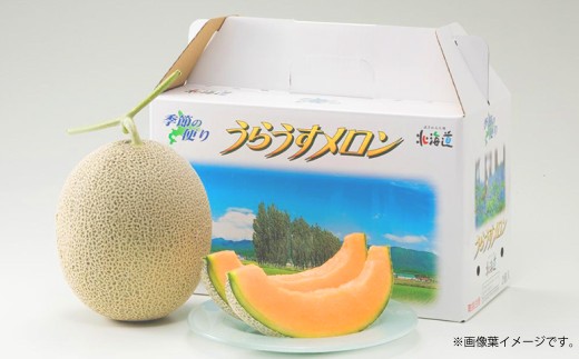 レッドメロン 5～6玉 （1玉 約1.6kg）