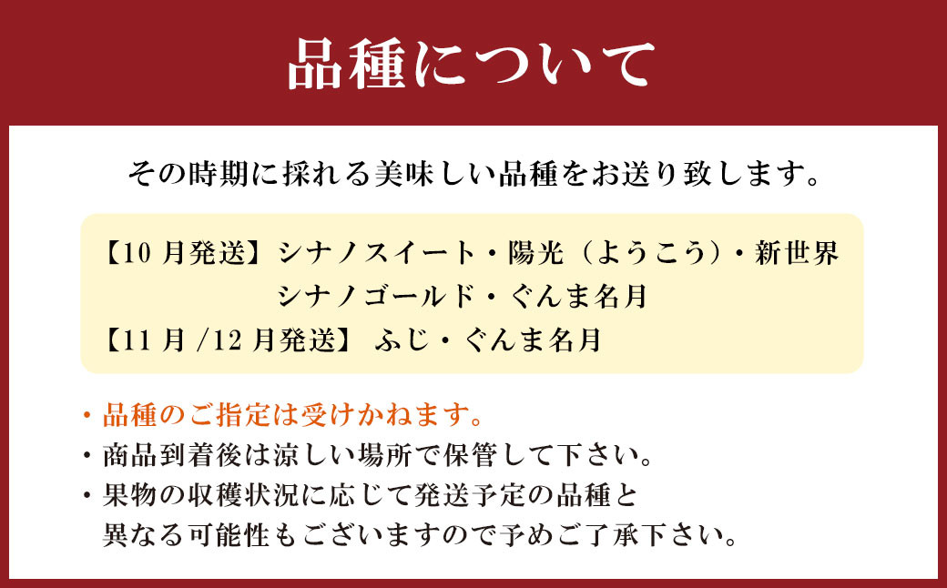 【2023年10月上旬から11月下旬迄順次発送】 りんご 4.5kg 九州産 シナノスイート 陽光 新世界 シナノゴールド ぐんま名月 果物 フルーツ