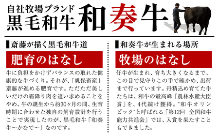厳選 くまもと黒毛和牛 切り落とし 2kg ( 1パック 500g ) 《30日以内に出荷予定(土日祝除く)》熊本県 大津町 和牛焼肉LIEBE くまもと黒毛和牛 切り落とし 冷凍 リーベ