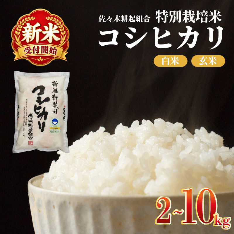【ふるさと納税】 新米 令和8年産 コシヒカリ 2kg 4kg 6kg 10kg 米 選べる 単品 定期便 白米 精米 玄米 ご飯 料理 おにぎり 弁当 新潟県産 新潟産 新発田産 コシヒカリ 佐々木こうき 佐々木耕起 佐々木耕起組合 特別栽培米 新潟県 新発田市 非常食 常備食 ssk001P