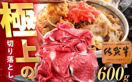 【牛肉 切り落とし】[A5等級] 佐賀牛 切り落とし 600g 牛 切り落とし ぎゅうにく きりおとし 切りおとし ぎゅうにく 国産 佐賀牛 黒毛和牛 切り落とし 肉 返礼品 赤身 佐賀県 武雄市 和牛 牛肉 しゃぶしゃぶ 切り落とし 黒毛和牛 切り落とし 国産 佐賀県産 使いやすい 黒毛和牛 すき焼き /MKミート武雄 [UEM030]