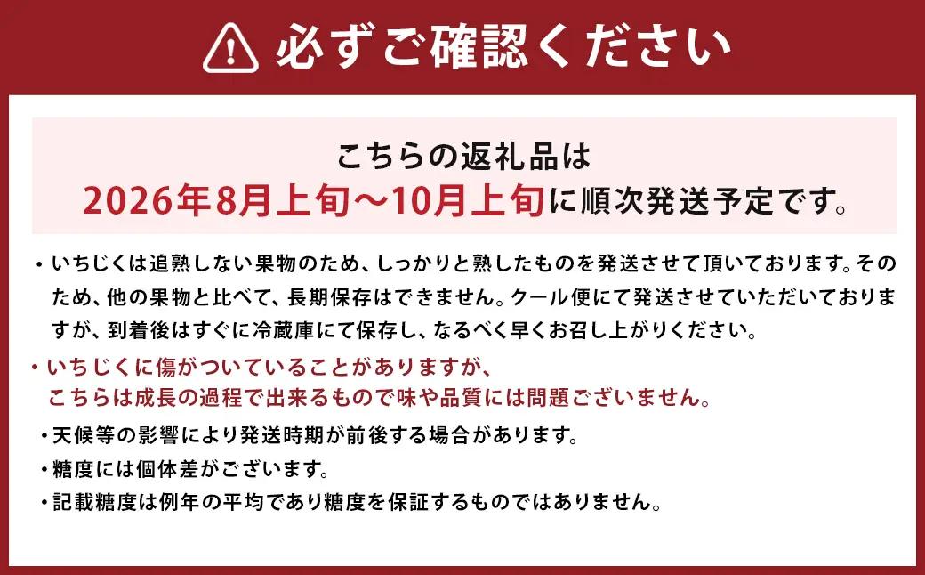 じぃじの いちじく【とよみつひめ】約1.5kg【 2026年8月上旬～10月上旬発送予定 】 いちじく 果物 フルーツ