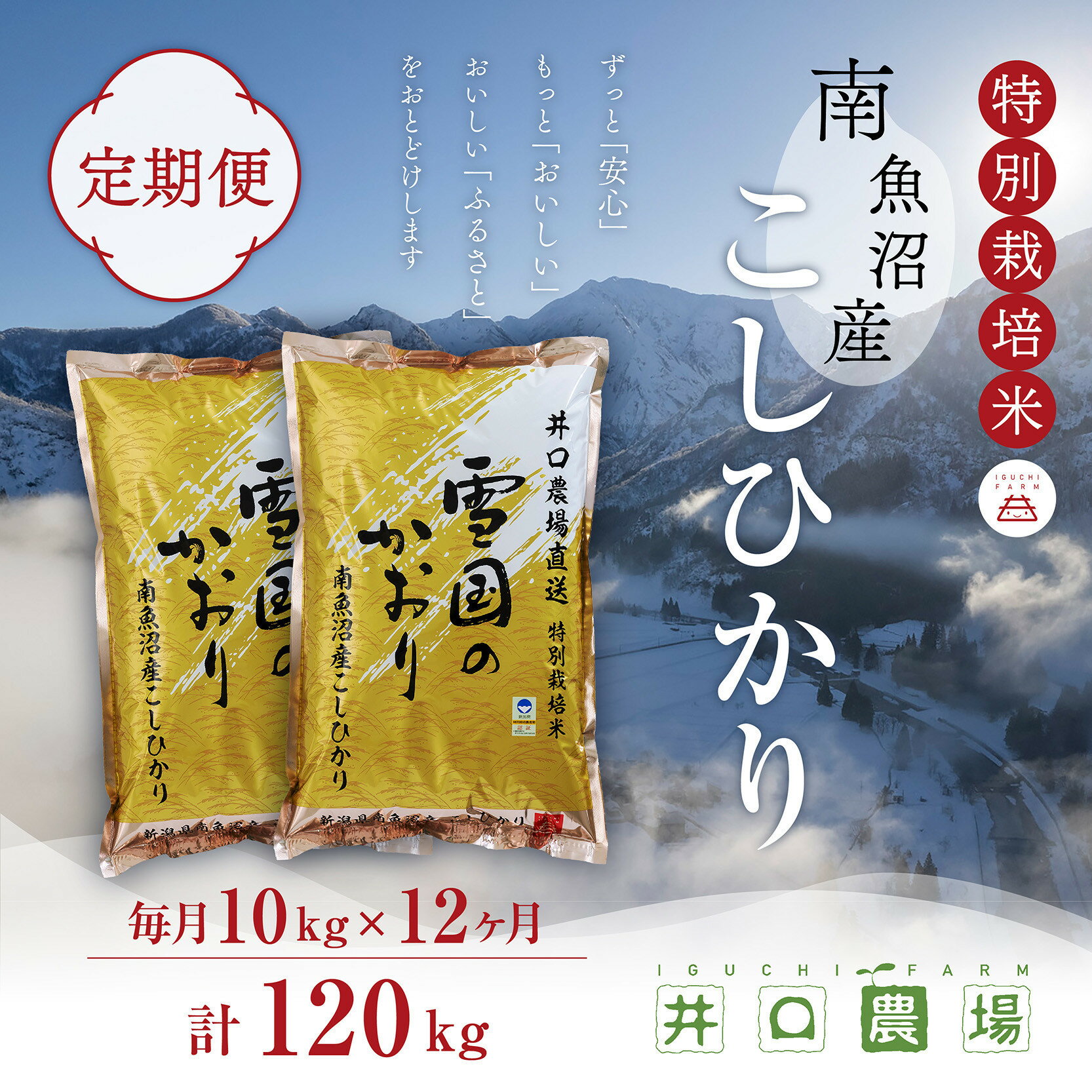 【ふるさと納税】【令和7年産】【定期便】10kg×12ヶ月　南魚沼産コシヒカリ 井口農場 こだわりの 特別栽培米【定期便 銘柄米 ブランド米 精米 こしひかり コシヒカリ 魚沼産 新潟米 新潟県産 産地直送 ご飯 御飯 ごはん お米 米 こめ コメ】
