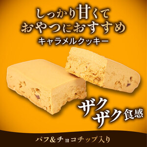 ブルボン プロテインバー 36本 BCAA+ キャラメルクッキー 4箱セット bourbon 筋トレ ダイエット 朝食 フィットネス 健康 おやつ お菓子 菓子 プロテイン 防災 非常食 登山 携行食