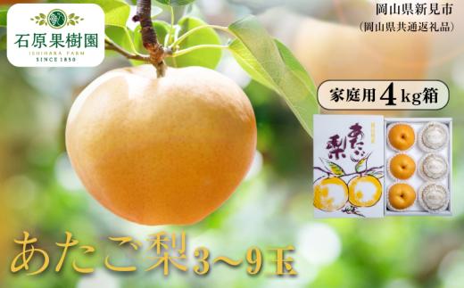 家庭用 あたご梨 4kg箱 青秀 3～9玉 【先行予約 2026年11月中旬から順次発送】