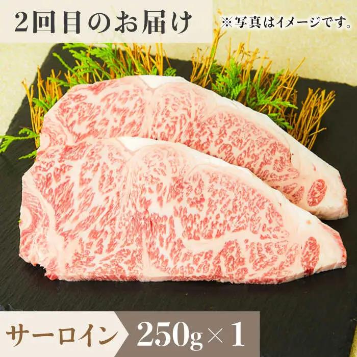【全3回定期便】1ヶ月に1度の佐賀牛ひとり贅沢コース ステーキ/焼肉/スライス 牛肉 希少 赤身 カルビ ヒレ サーロイン モモ 切り落とし[FAY065]