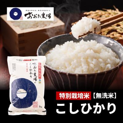 ふるさと納税 上越市 【令和7年産　2025年10月より順次発送】特別栽培米コシヒカリ【無洗米】5kg×1袋　新潟県上越産