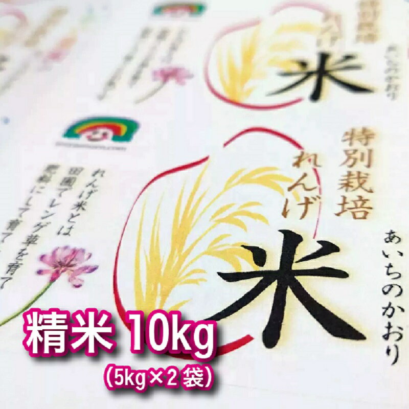 【ふるさと納税】特別栽培れんげ米 日進市産 あいちのかおり 10kg ( 5kg × 2袋 ) 米 白米 精米 特別栽培米 コメ お米 おこめ 愛知 愛知県 日進市