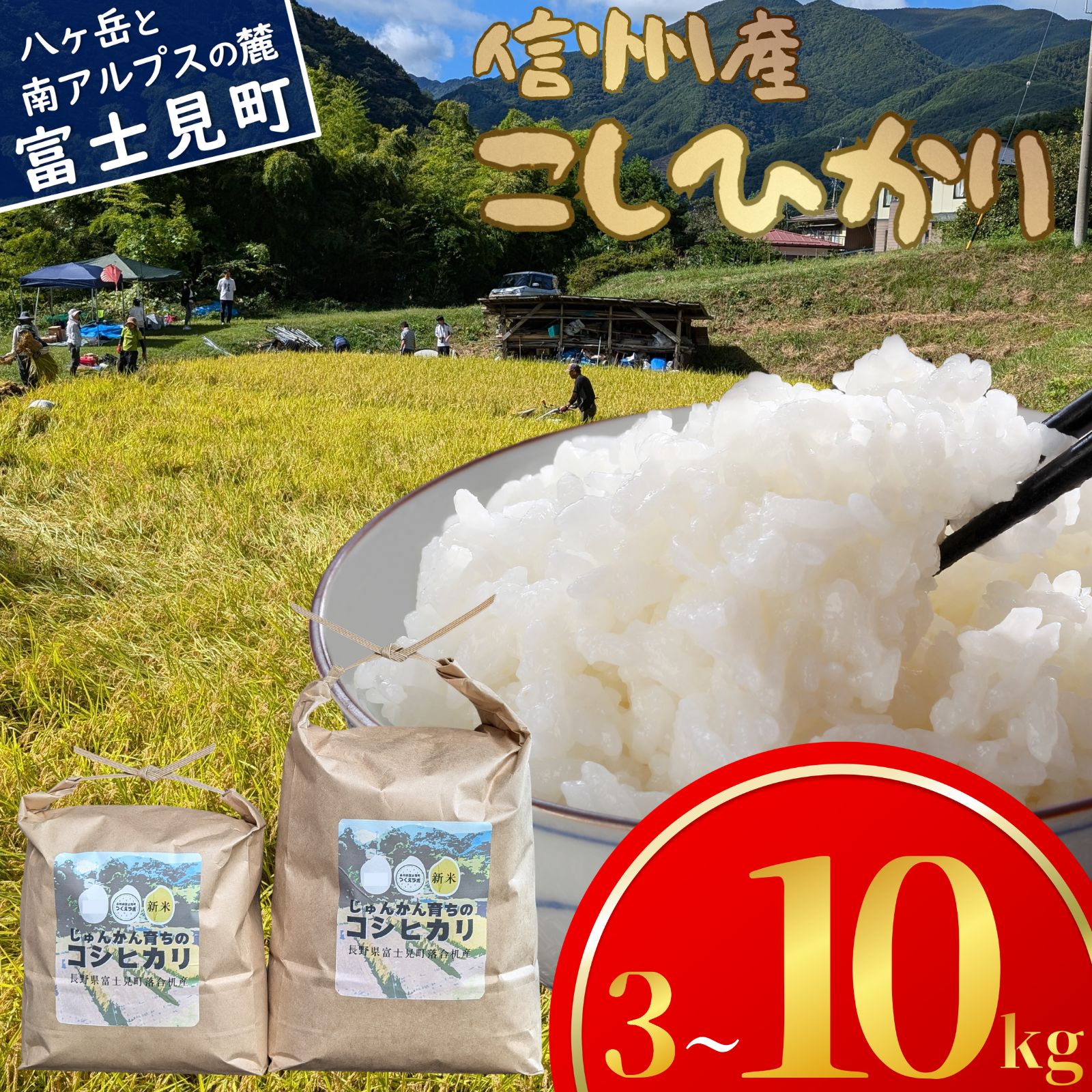 【ふるさと納税】先行予約 令和7年産 コシヒカリ 3kg 5kg 10kg 長野県富士見町落合机産 じゅんかん育ちのコシヒカリ お米 ライス 白米 精米 銘柄米 ブランド米 ご飯 炭水化物 お弁当 おにぎり 直送 ハゼかけ 天日干し 減農薬 減化学肥料 つくえラボ [10月中旬発送開始]