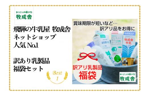 『牧成舎』”何が届くかお楽しみ！”　訳あり乳製品福袋セット | 乳製品 福袋 牛乳 チーズ ヨーグルト 訳アリ 種類おまかせ 詰合せ 牧成舎 DF005
