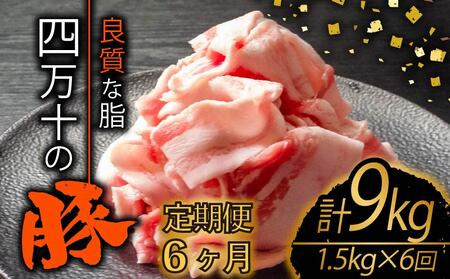 【全6回】豚肉定期便 切り落とし 計9kg（1.5kg×6ヶ月) 6ヶ月定期便6ヶ月定期便6ヶ月定期便