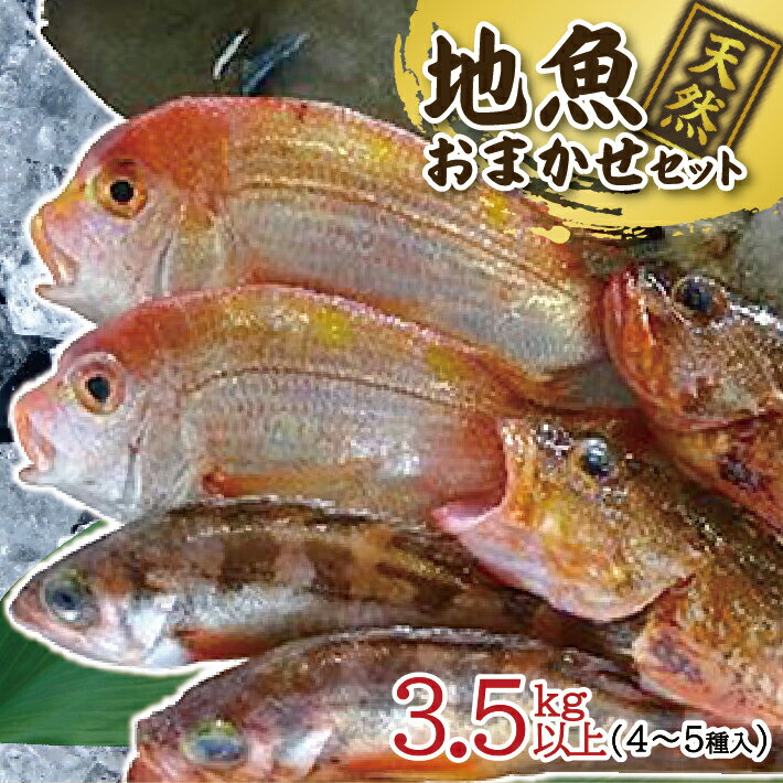 【ふるさと納税】地魚おまかせセット 4～5種類入り 計3.5kg以上 冷蔵便 ※着日指定・離島（沖縄県を含む）への発送不可 東北 山形県 遊佐町 庄内地方 鮮魚 詰合せ 産地直送 新鮮