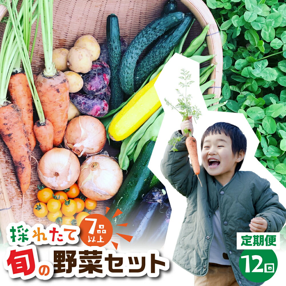 【ふるさと納税】金賞受賞 旬彩野菜セット 12回 定期便 旬の野菜 7品目以上 レシピ付き お届け 国産 新鮮 農薬不使用 化学肥料不使用 野菜ソムリエ 旬の目利き 高評価 安心 安全 農家直送 直送 産地直送 こだわり野菜 どうまい