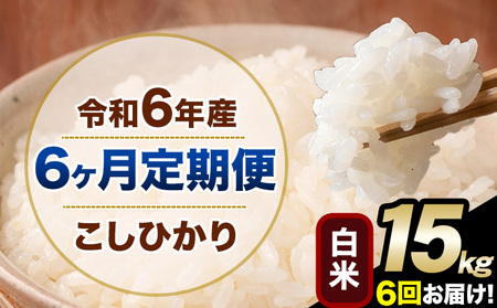 【6ヶ月定期便】令和6年産 定期便 こしひかり 白米 定期便 15kg 精米 熊本県産(南阿蘇村産含む)  南阿蘇村《申込み翌月から発送》｜人気米 熊本県産米  生活応援米