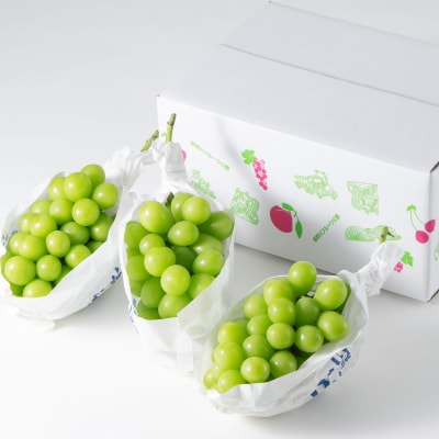 山梨市産「シャインマスカット(種なし)」 約1.5kg (約500g×3房)【配送不可地域：離島・沖縄県】