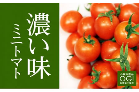真子のミニトマト（約1,3kg）農家 直送品 A085-017 果物 くだもの フルーツ 人気 ランキング 高評価 佐賀県 小城市