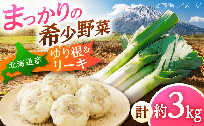 【2026年11月上旬以降順次発送】 ゆり根とリーキ  計3kg  |  ゆり根 リーキ 野菜 やさい 北海道 産地直送 先行予約 | 道の駅 真狩フラワーセンター [BPAM022]