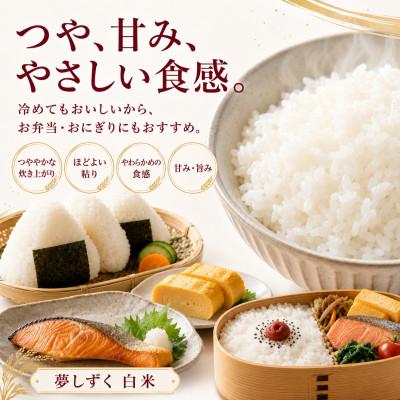 ふるさと納税 多久市 【毎月定期便】夢しずく白米10kg(5kg×2袋)(多久市)全6回 |  | 01
