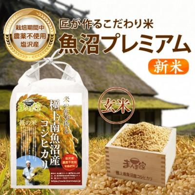 ふるさと納税 南魚沼市 【8年産新米予約】特別栽培米「南魚沼産コシヒカリ」(栽培期間中農薬・化学肥料不使用)玄米10kg