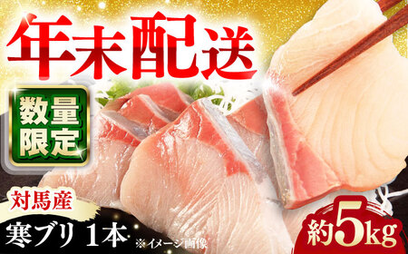 【年末に指定でお届け！】対馬産 寒ブリ 5kg前後 1本 ≪対馬市≫【うえはら株式会社】 産地直送 冷蔵 冷蔵配送 ブリ ぶり 鰤 海鮮 長崎 対馬 国産 鮮魚[WAI096]