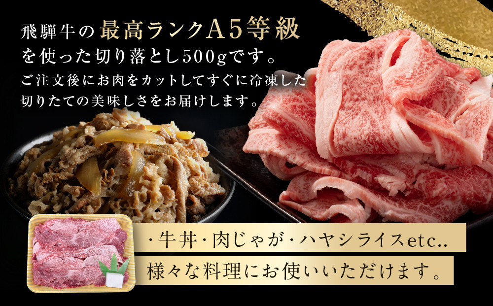 飛騨牛 A5等級 切り落とし 500g | 小間切れ A5ランク A5 5等級 肉 黒毛和牛 ブランド牛 飛騨高山 ながせ食品 FH025VC13