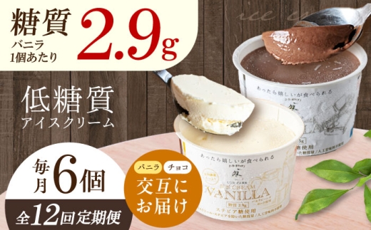 【全12回定期便】 アイスクリーム バニラとチョコの交互お届け！然オリジナル バニラアイスクリーム・チョコレートアイスクリーム スイーツ デザート アイス アイスクリーム チョコ バニラ 低糖質 お菓子 スイーツ 大阪府高槻市/低糖質食専門店ローカーボキッチン然-zen- [AOBD054]
