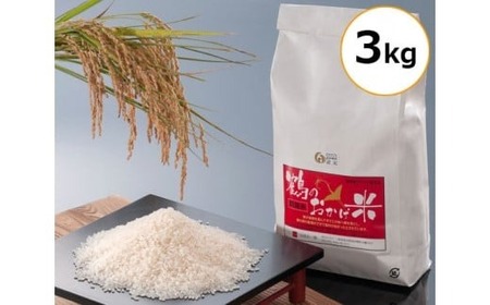 【令和8年産こしひかり】 3kg 全3回定期便 先行予約 新米 こしひかり