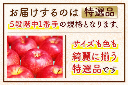 りんご 【糖度13度以上】サンふじ【特選品】約10kg 26~40玉程度 ASIAGAP認証農場 津軽農園