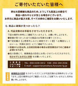 【山梨県産 卵】ミシュランも選ぶ高級卵セット（赤玉 30個）