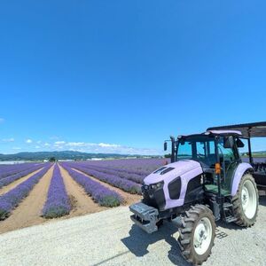 【セット】【ファーム富田】ラベンダーオイルミストミニ・詰替セット【BB-026】