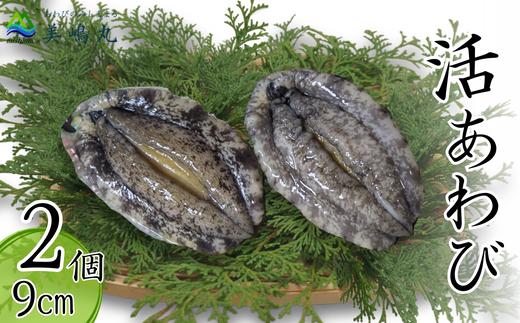 【冷蔵 活あわび 養殖 9cm×2枚 160～200g (1個80～100g）】満点青空レストラン うまい！おせち2023に採用されました 新鮮 発送目安：入金確認後1ヶ月程度 日本海 香住で育てた養