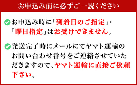 【先行予約】茨城県産タカミレッドメロン約4.5kg（3～6個）【2025年5月中旬～6月上旬ごろ発送予定】【メロン 茨城 メロン タカミ メロン 果物 メロン ギフト メロン 旬 レッド 赤肉 フルー