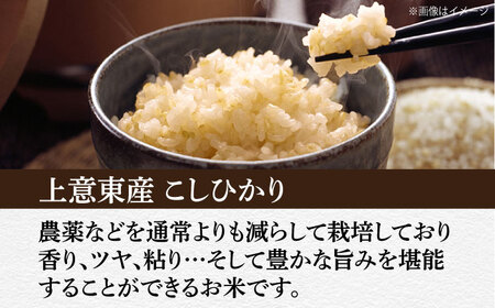 五ツ星お米マイスター厳選【玄米】エコ栽培米 恵の上意東産「コシヒカリ」10kg 島根県松江市/株式会社沼田米穀店[ALBU002]