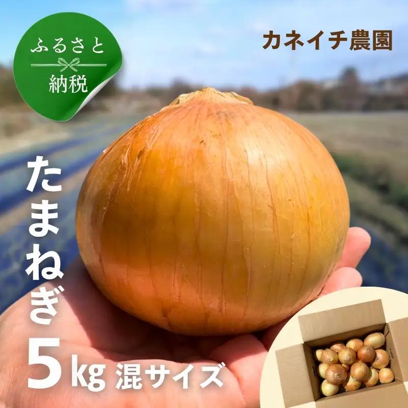 玉ねぎ 5kg 混サイズ たまねぎ
