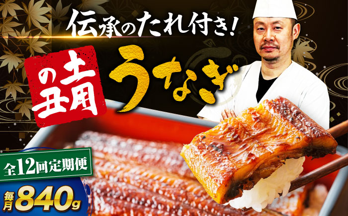 【全12回定期便】 うなぎ 蒲焼き 冷蔵 真空パック 6尾セット（2尾×3箱）　愛媛県大洲市/有限会社 樽井旅館 鰻 うなぎ ひつまぶし 土用の丑の日 ウナギ [AGAH023]