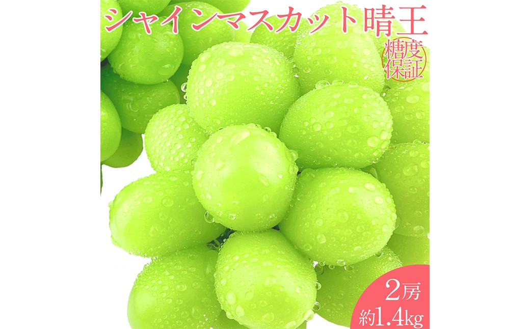 
            晴王 シャインマスカット晴王 2房 約1.4kg 【先行予約：2026年7月上旬～8月下旬発送予定】岡山県産 種無し 皮ごと食べる みずみずしい 甘い フレッシュ 温室栽培 晴れの国 おかやま 果物大国 満天フルーツ 冷蔵 岡山県 倉敷市
          