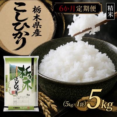 ふるさと納税 矢板市 【毎月定期便】【食味鑑定士厳選】栃木県産 コシヒカリ 5kg(5kg×1)(矢板市)全6回