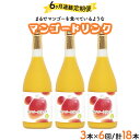 【ふるさと納税】【定期便・全6回】驚きの果実感！マンゴードリンク(720ml×3本)×6回【宮崎果汁】【G-H2】