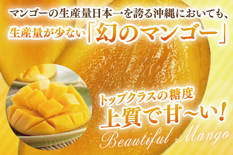 【2025年8月より順次発送】【先行予約】キーツマンゴー 2～3玉(約2kg)(化粧箱)｜沖縄県 豊見城市 マンゴー キーツマンゴー フルーツ 果物 くだもの おきなわマンゴー ギフト 贈り物 化粧箱