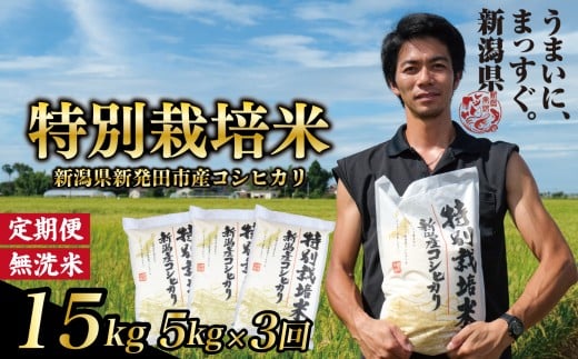 【定期便】コシヒカリ 無洗米 5kg 3ヵ月 15kg 令和7年産 特別栽培米 こしひかり 米 お米 こめ 新潟米 新潟県産 新潟産 新潟 新潟県 新発田産 新発田 新発田市 斗伸 toushin041