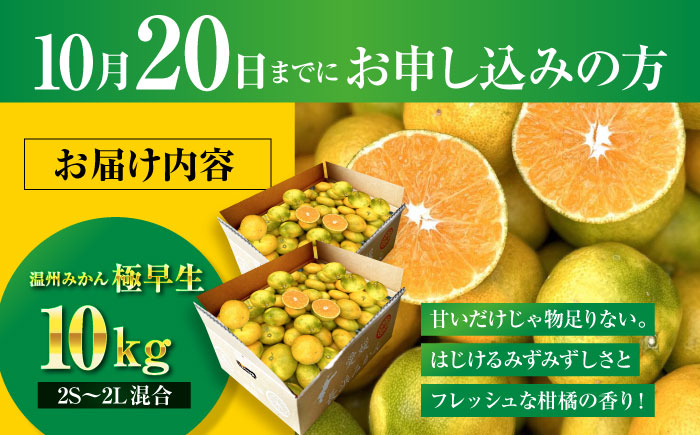 酸味さわやか愛媛じるし! 温州みかん 10kg （2Sから2L混合サイズ）