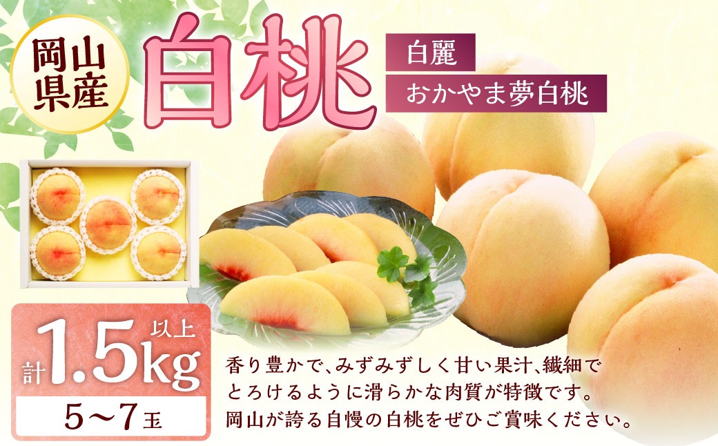 
            桃 2026年 先行予約 岡山 白桃 （品種：おかやま夢白桃／白麗） 5～7玉 合計1.5kg以上 【2026年7月下旬～8月上旬 発送予定】 もも モモ 岡山県産 国産 フルーツ 果物 環山堂 くだもの お取り寄せ 贈り物 ギフト 国産
          