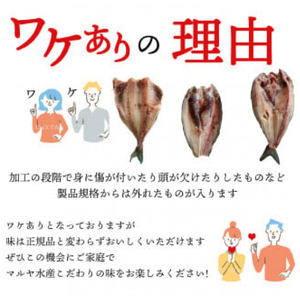 【2025年05月発送】  干物 訳あり 干物 ひもの 約1.8kg おまかせ 詰め合わせ 干物 セット 本場沼津 規格外 不揃い 