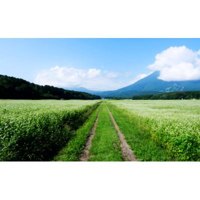 ふるさと納税 信濃町 一茶の里の生(なま)そば 「200g(つゆ付)×8袋」 |  | 02
